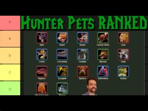 vanilla wow best hunter pet.